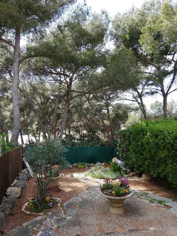 T2 Rez De Jardin 300m De Beaucours Sur Appartement